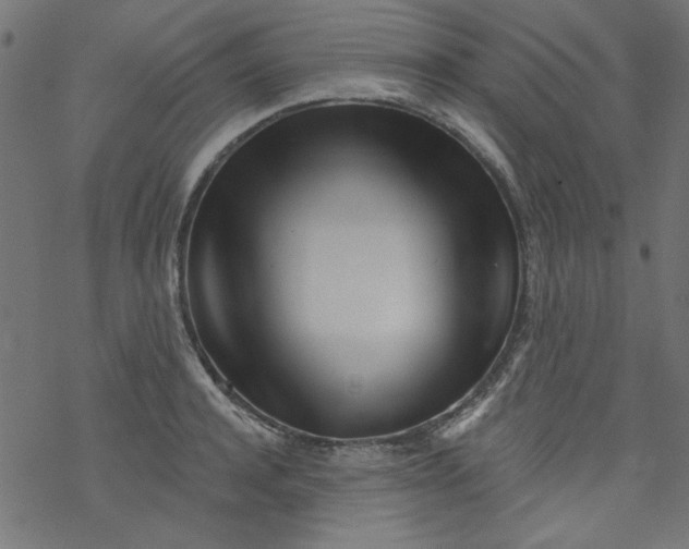 X0000077350944200611031818