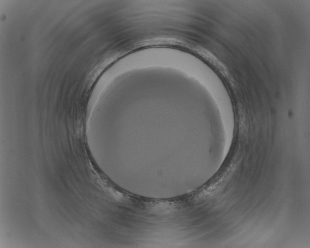 X0000077350945200611031818