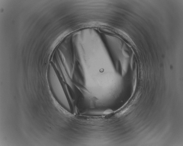 X0000077350946200611031818