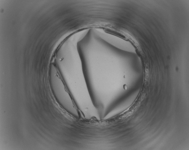 X0000077350948200611031818