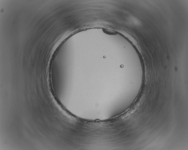 X0000077350949200611031818