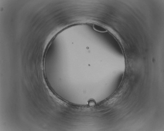 X0000077350951200611031818