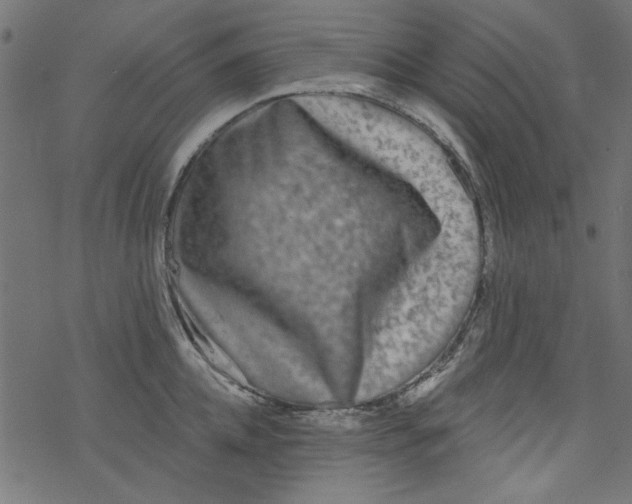 X0000077350952200611031818