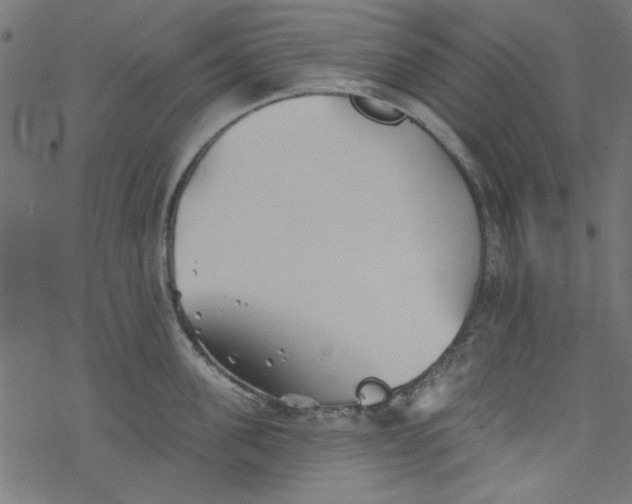 X0000077350955200611031818