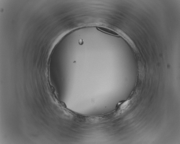 X0000077350956200611031818