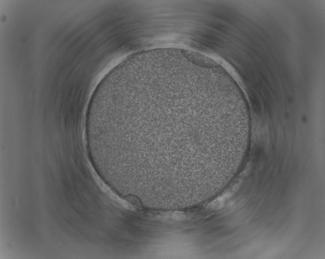 X0000077350957200611031818