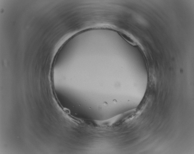 X0000077350959200611031818