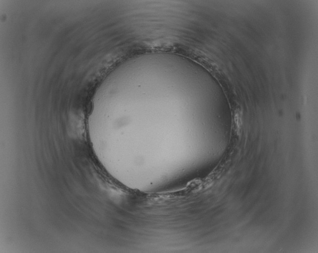 X0000077350963200611031817