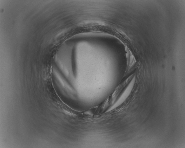 X0000077350965200611031817