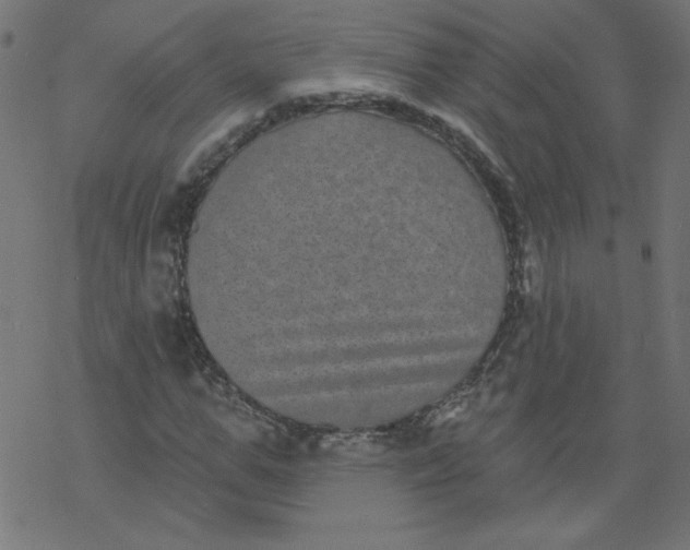 X0000077350967200611031817