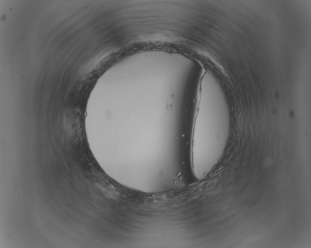 X0000077350968200611031817