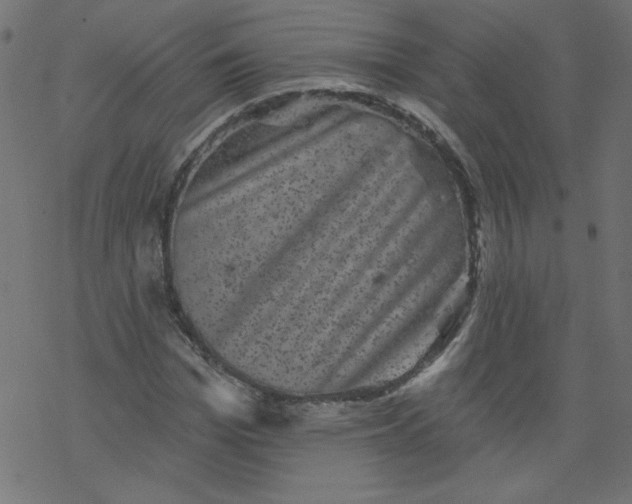 X0000077350969200611031817