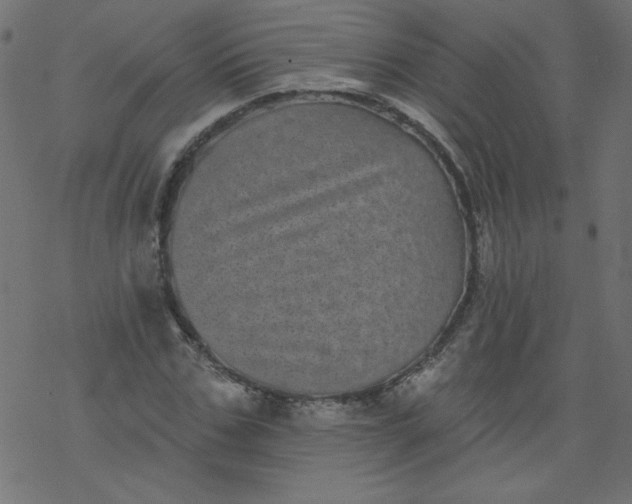 X0000077350971200611031817