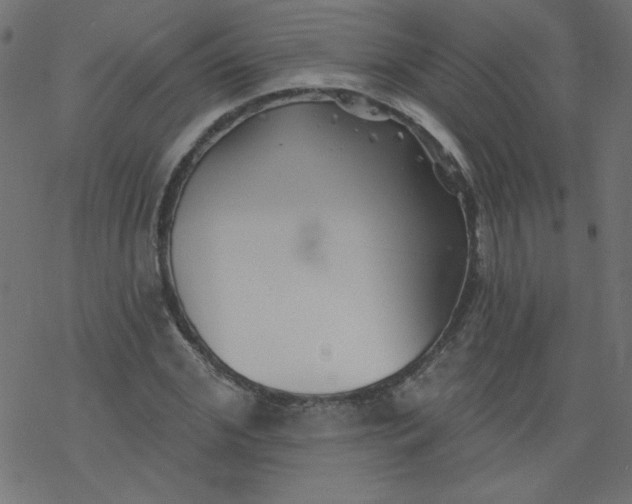 X0000077350972200611031817