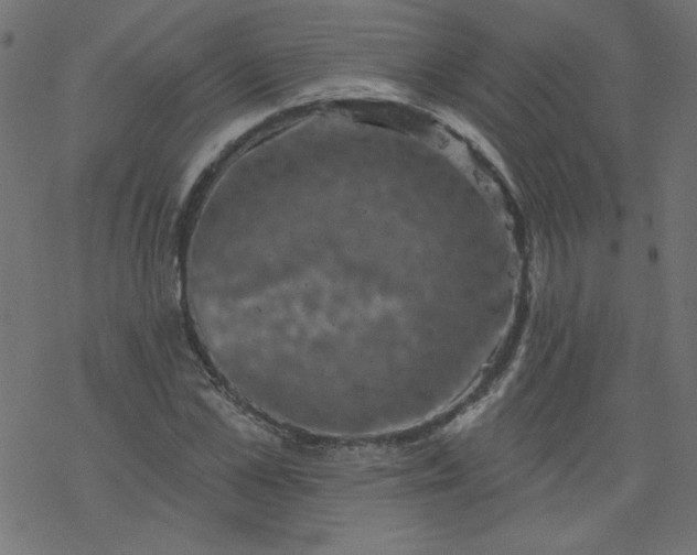 X0000077350973200611031817