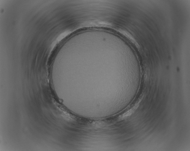 X0000077350974200611031817