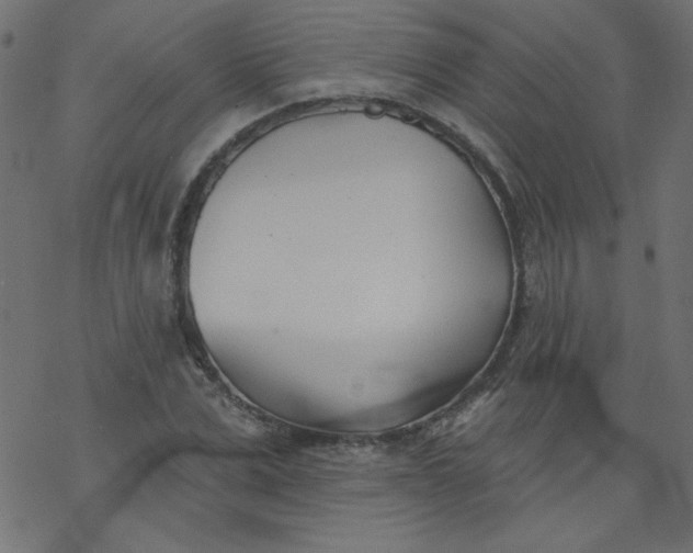 X0000077350975200611031817