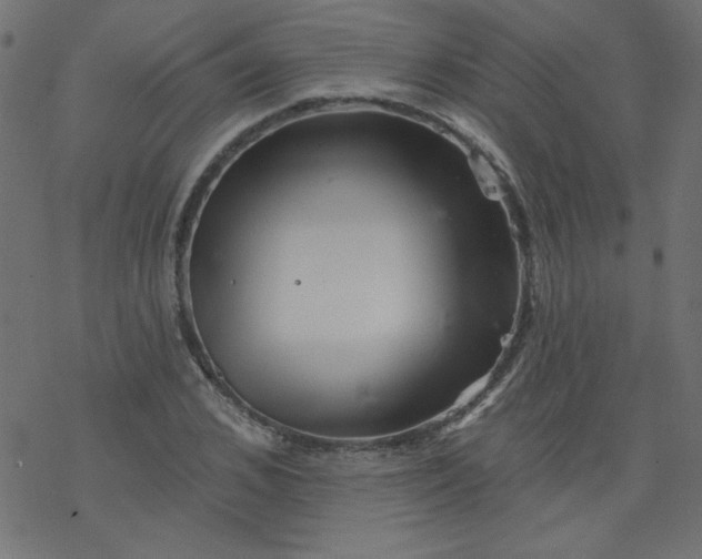 X0000077350976200611031817