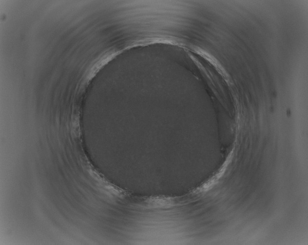 X0000077350977200611031817