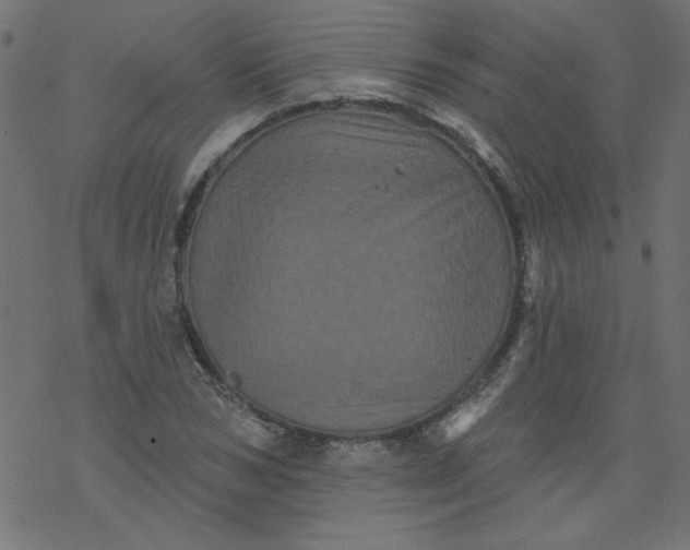 X0000077350978200611031817