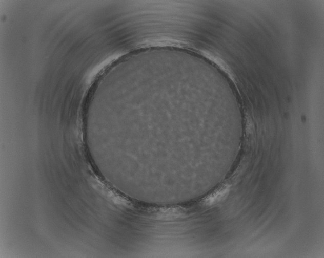 X0000077350979200611031817