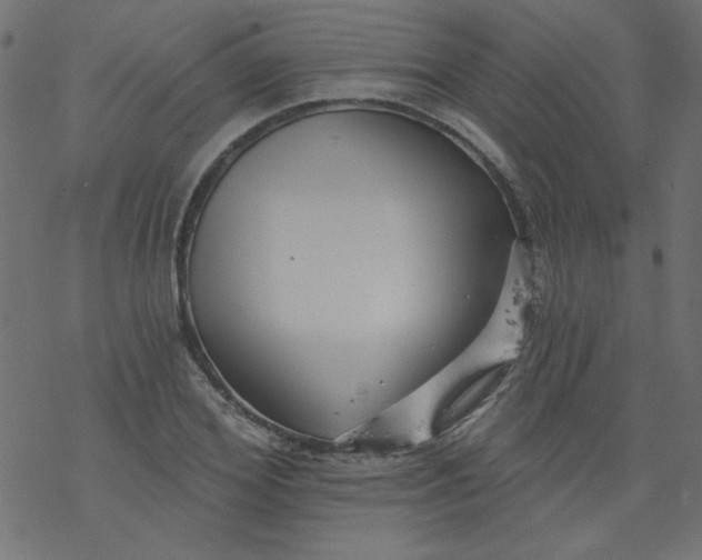 X0000077350980200611031817