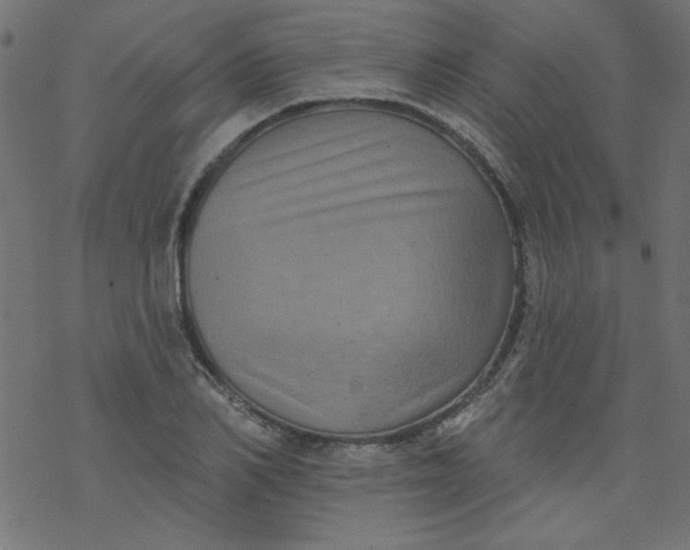 X0000077350982200611031817