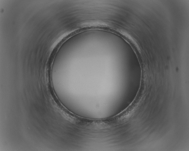 X0000077350983200611031817