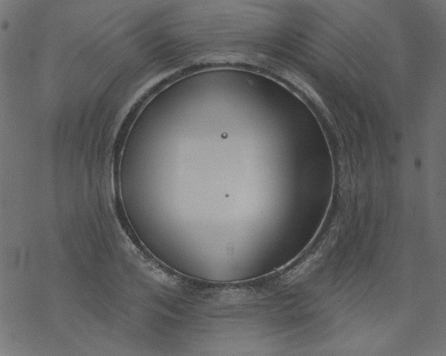 X0000077350984200611031817