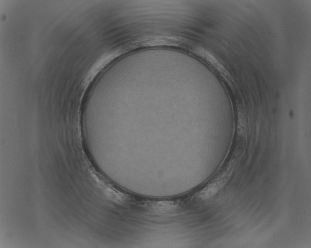 X0000077350986200611031817