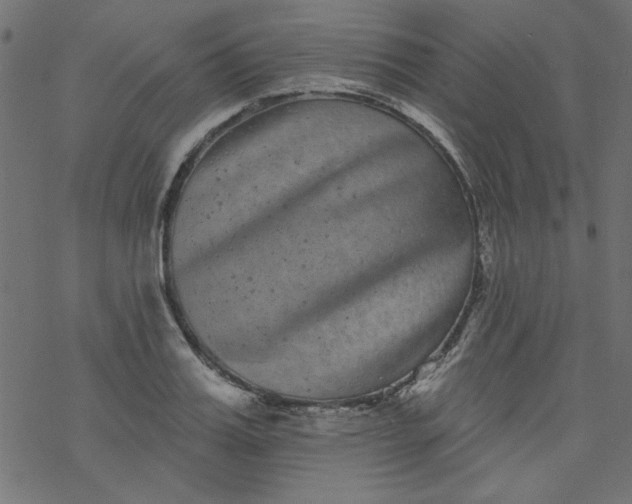 X0000077350987200611031817