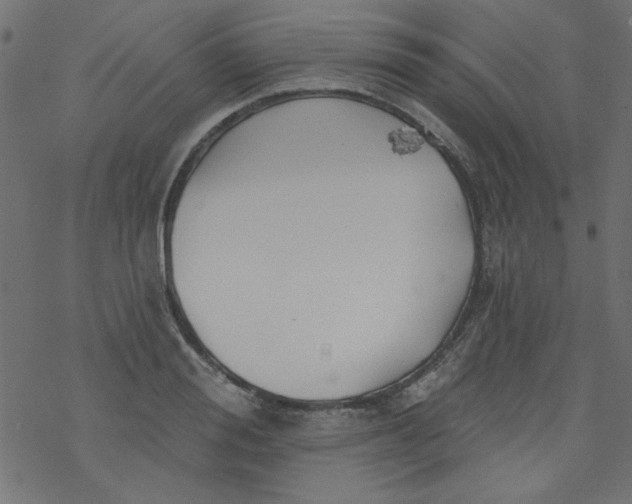 X0000077350988200611031817