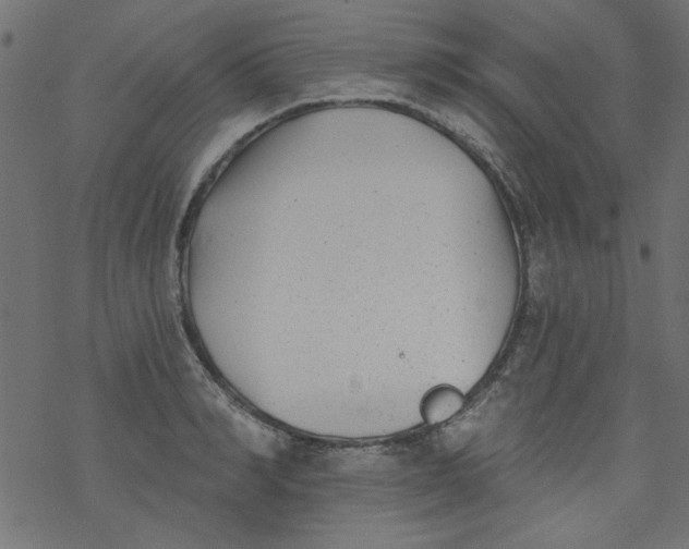 X0000077350990200611031817