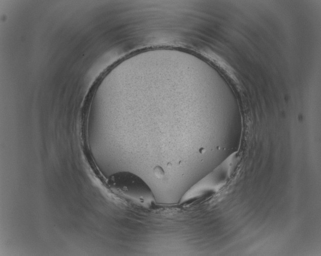 X0000077350991200611031816