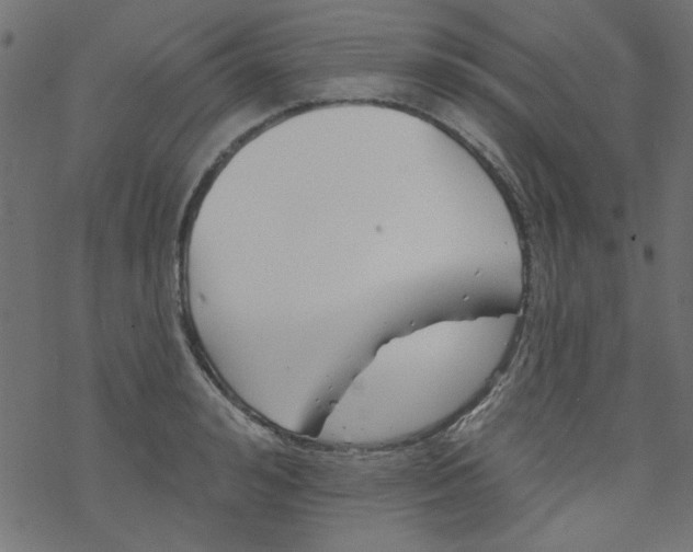 X0000077350992200611031816