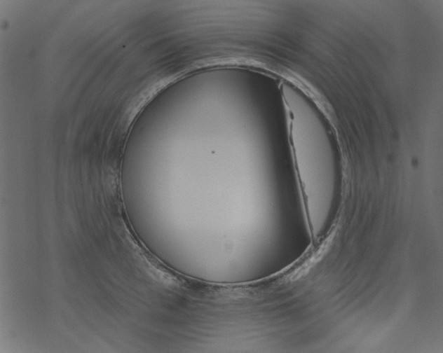 X0000077350993200611031816