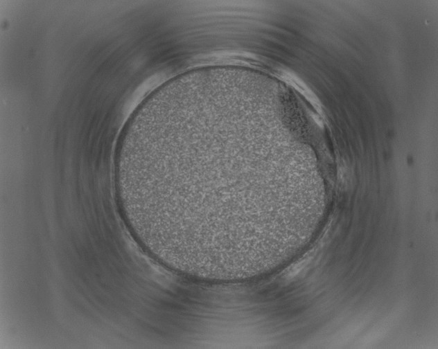 X0000077350994200611031816