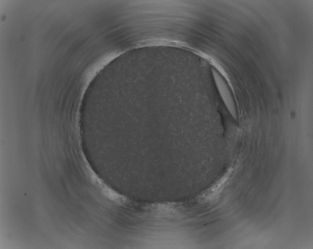 X0000077350995200611031816