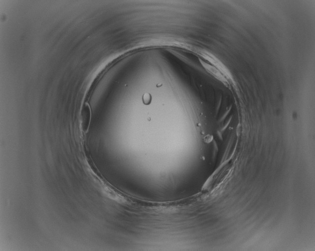 X0000077350996200611031816