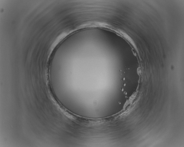 X0000077350997200611031816