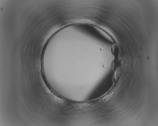 X0000077350999200611031816