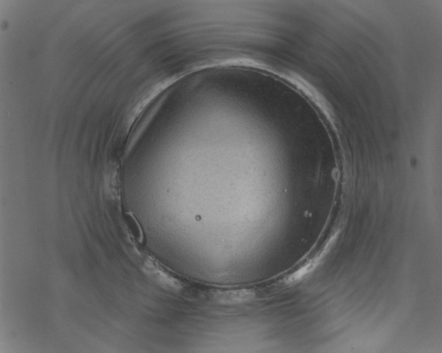 X0000077351001200611031816