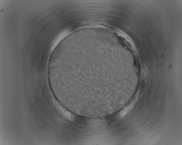 X0000077351002200611031816