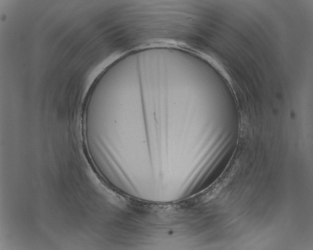 X0000077351003200611031816