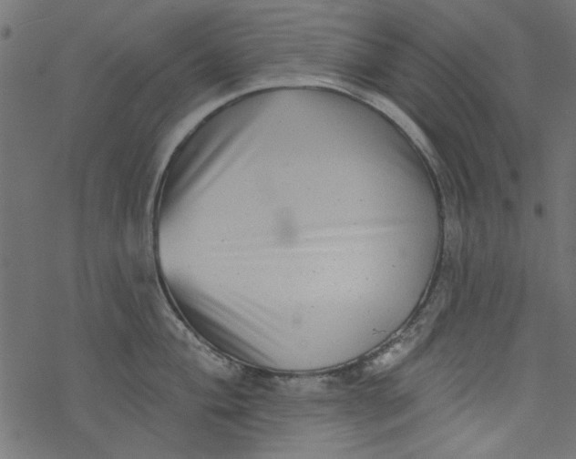 X0000077351004200611031816