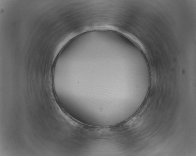 X0000077351006200611031816