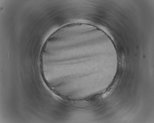 X0000077351007200611031816