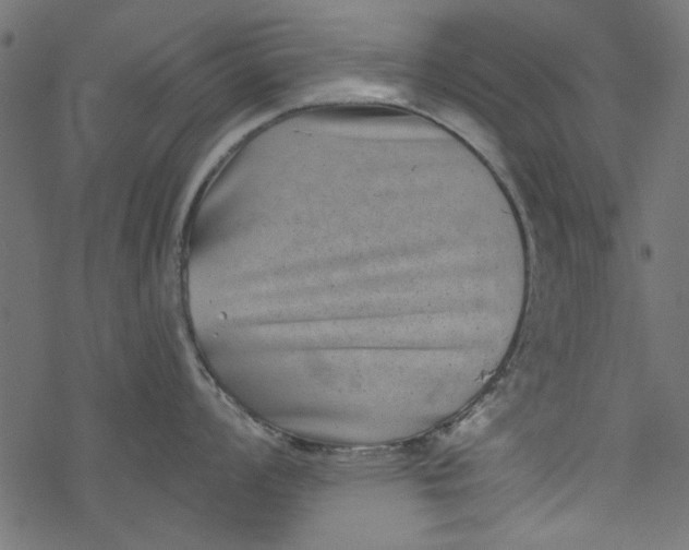 X0000077351008200611031816