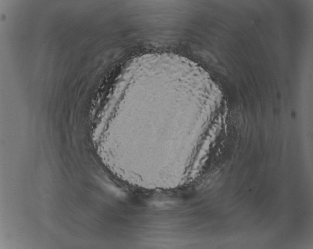 X0000077351009200611031815