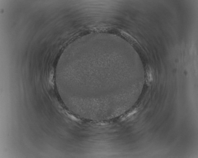 X0000077351010200611031815